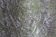 Kings Bromley fibreglass roof work